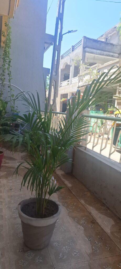 Image #1 from Jinal Vasava