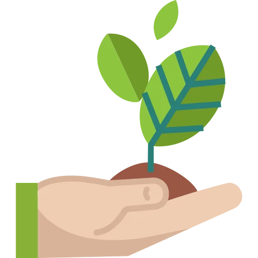 Green Money Plant | ecology
