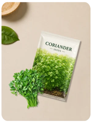 Coriander - Khothmir Seeds