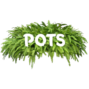 Pots Category