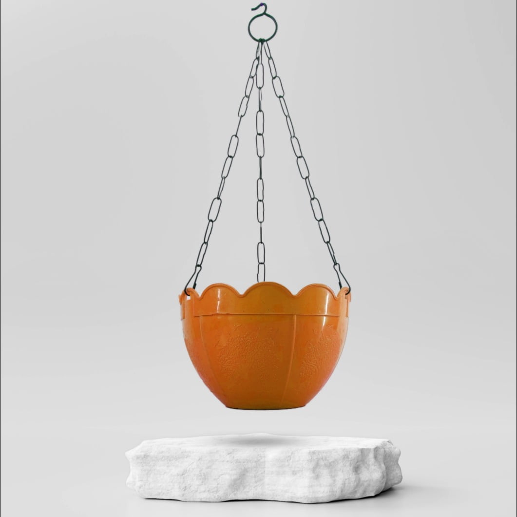 Buy Marble Prince Money Plant ₹399.00 Online in Ahmedabad