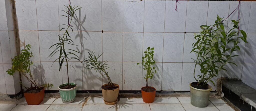 Image #1 from Preyash KaPatel