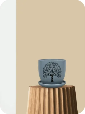 5" Gray Tree Ceramic Planter with Tray