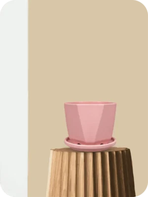 5" Pink Diamond Ceramic Planter with Tray
