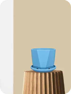 5" Sky-Blue Diamond Ceramic Planter with Tray