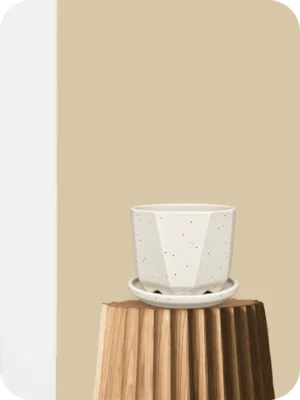 5" White Diamond Ceramic Planter with Tray